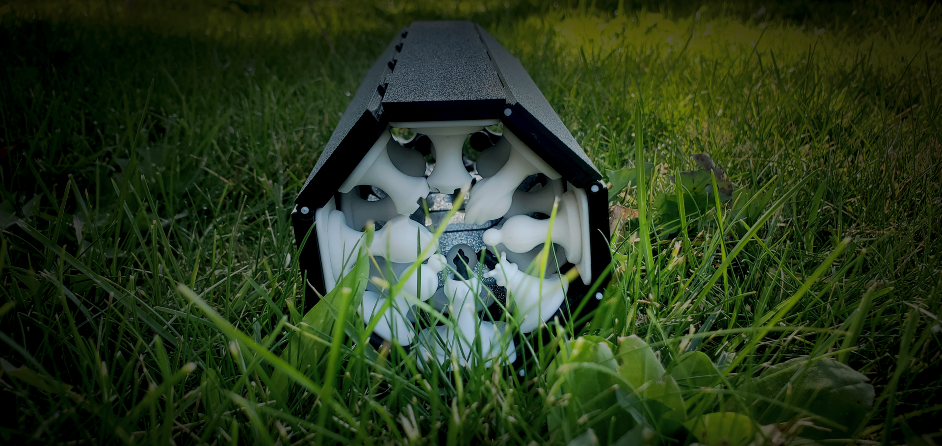 Roll-up chess set, black board